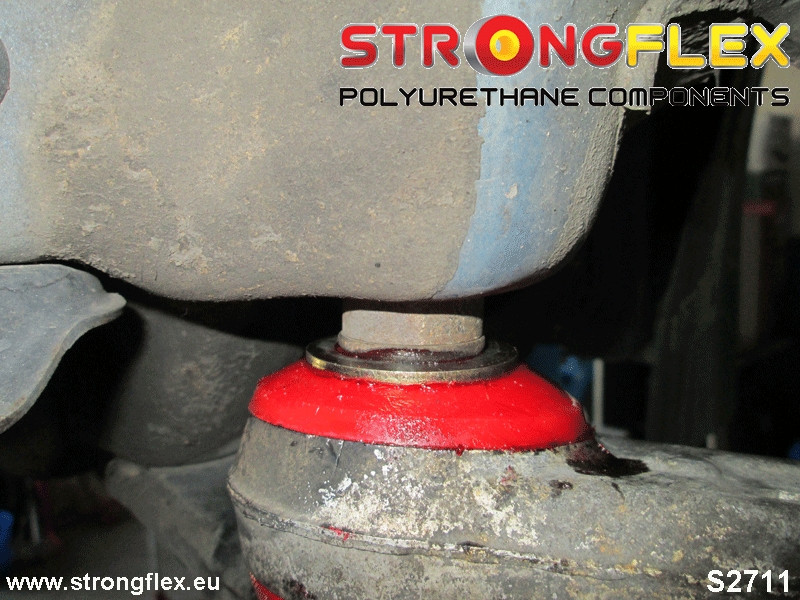 Front Bone Bone Buschsport