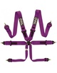 QSP 6 Point Safety Gurness 3 "FIA