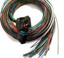 MaxxECU Wiring harness
