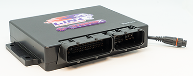 Link ECU BMW Mini Cooper S 2002-2006 Motorsteuerung