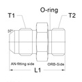 AN10 männlich - AN12 O-Ring-männlicher Adapter