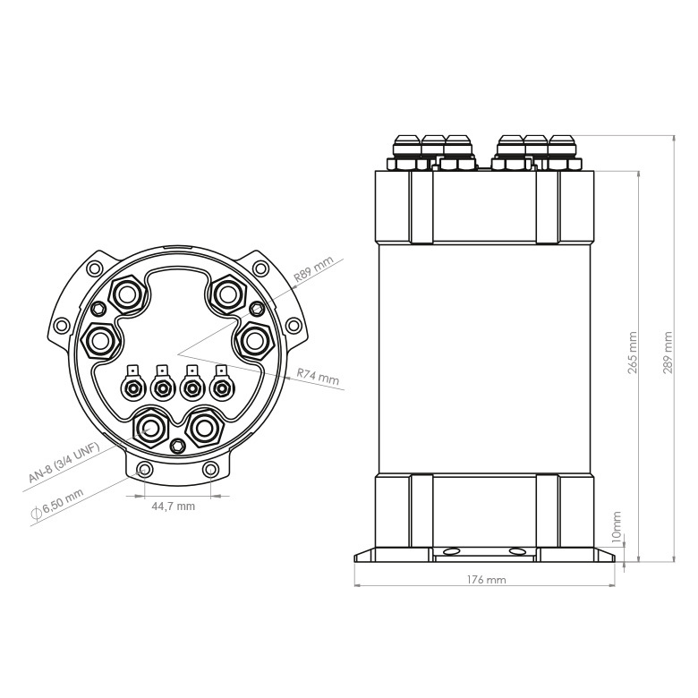 NUKE Kraftstoff Catch Tank 3.0L- 3 Interne Pumpen