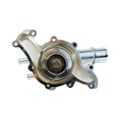 Wasserpumpe Ford 5L Chrom