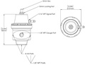  Turbosmart Kraftstoffdruckregler AN8 Niederdruck (Vergaser)