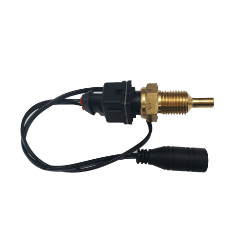 Davies Craig Wassertemperatursensor 1/4" NPT