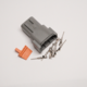 Stecker 8-Pin DTM-Serie Weiblich