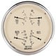 5" Vierfachanzeige, 100 Psi/100-250 °F/8-18v/240-33 Ω, Antique Beige