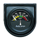 1-1/2-1/16" Wassertemperatur, 100-280 °F, Auto Gage