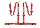 Sparco 4PT-Sicherheitsgurt Rot - Straße