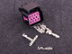 Stecker 8-polige Buchse Delphi GT150