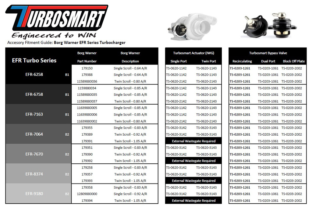 Turbosmart Interner Wastegate Borg Warner EFR