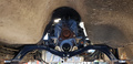 Getriebehalterung BMW ZF 5VXL - Volvo 240